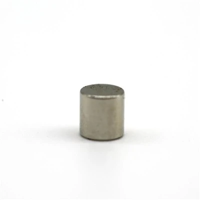 Magneți standard de cilindru de samarium-cobalt